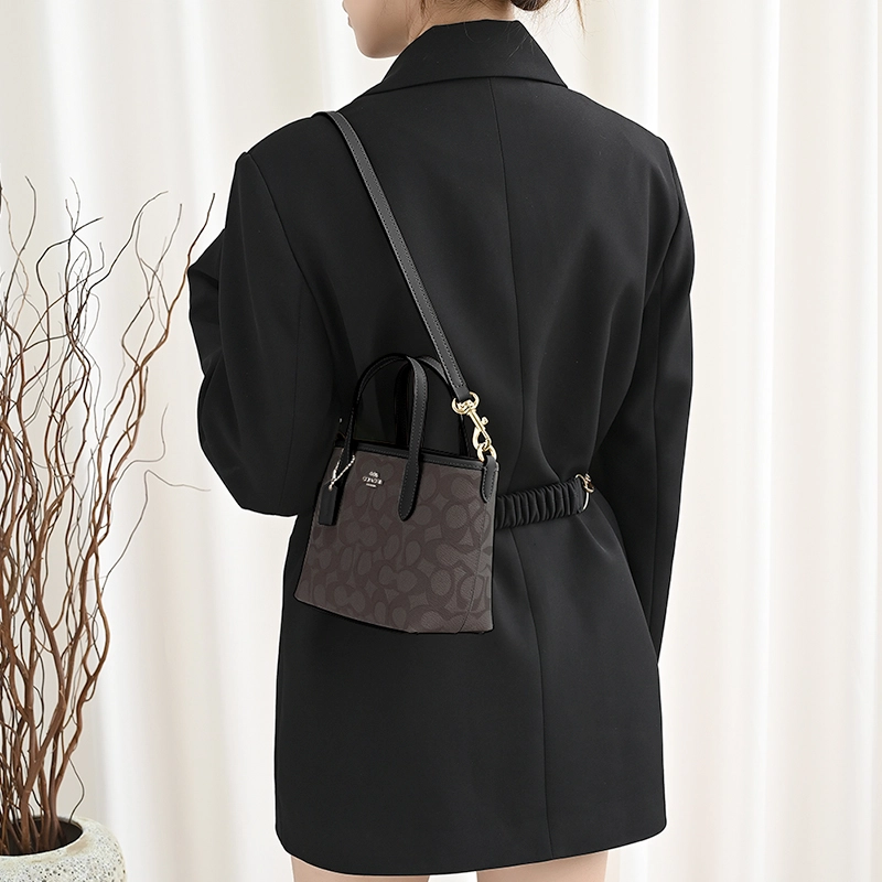 GUYI COACH city15 Tote mini