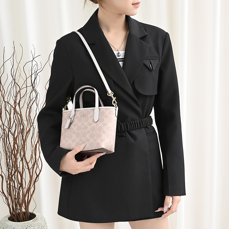 GUYI COACH city15 Tote mini