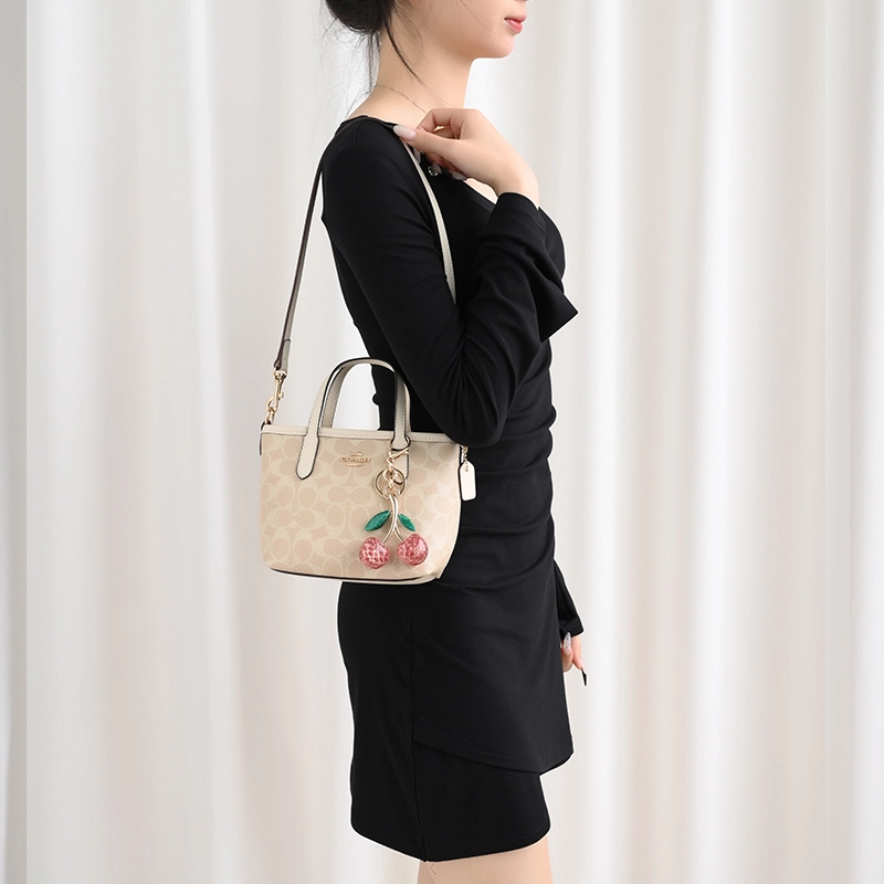 GUYI COACH city15 Totemini