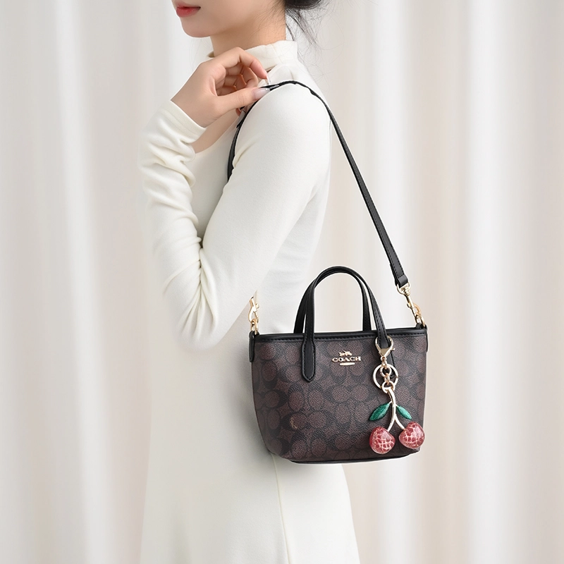GUYI COACH city15 Totemini