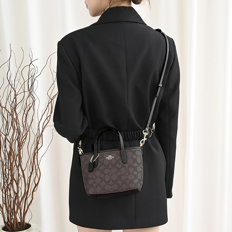 GUYI COACH city15 Tote mini