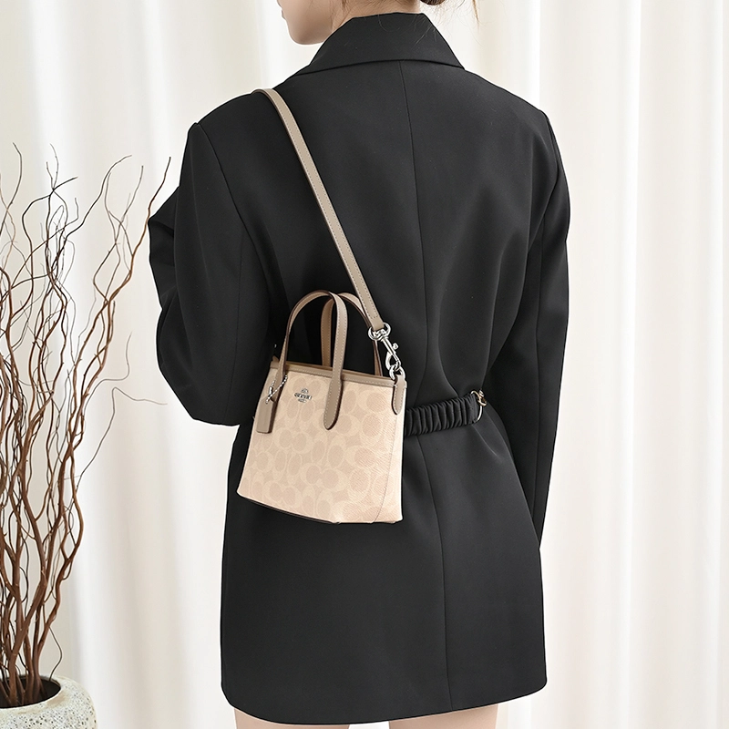 GUYI COACH city15 Tote mini