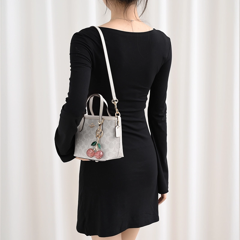 GUYI COACH city15 Totemini