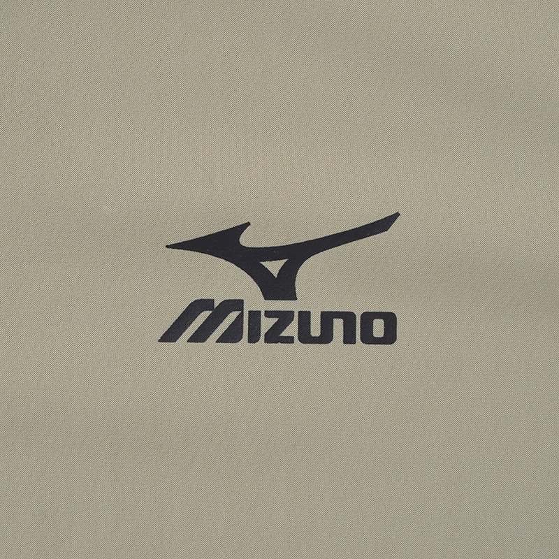 Mizuno T