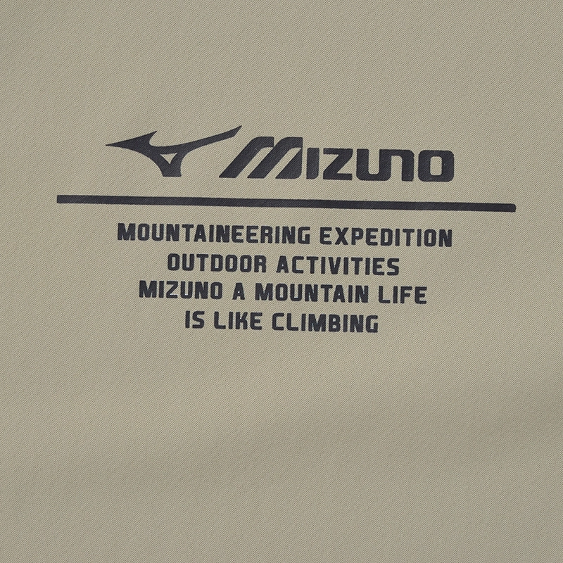 Mizuno T