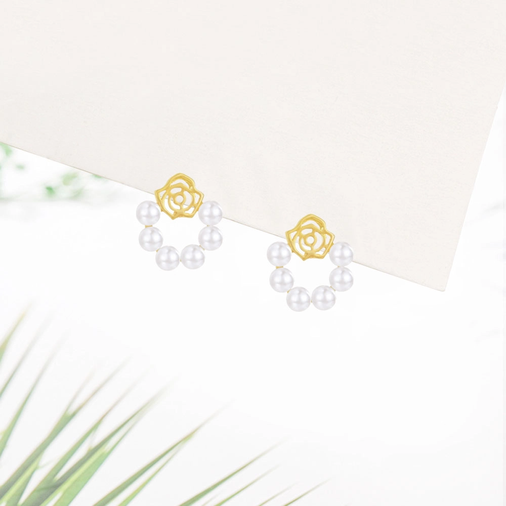 Crafts Women ins