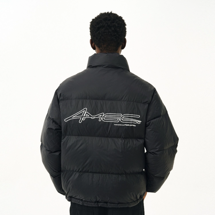 FPA ALWAYS MOVING AMGGlogo