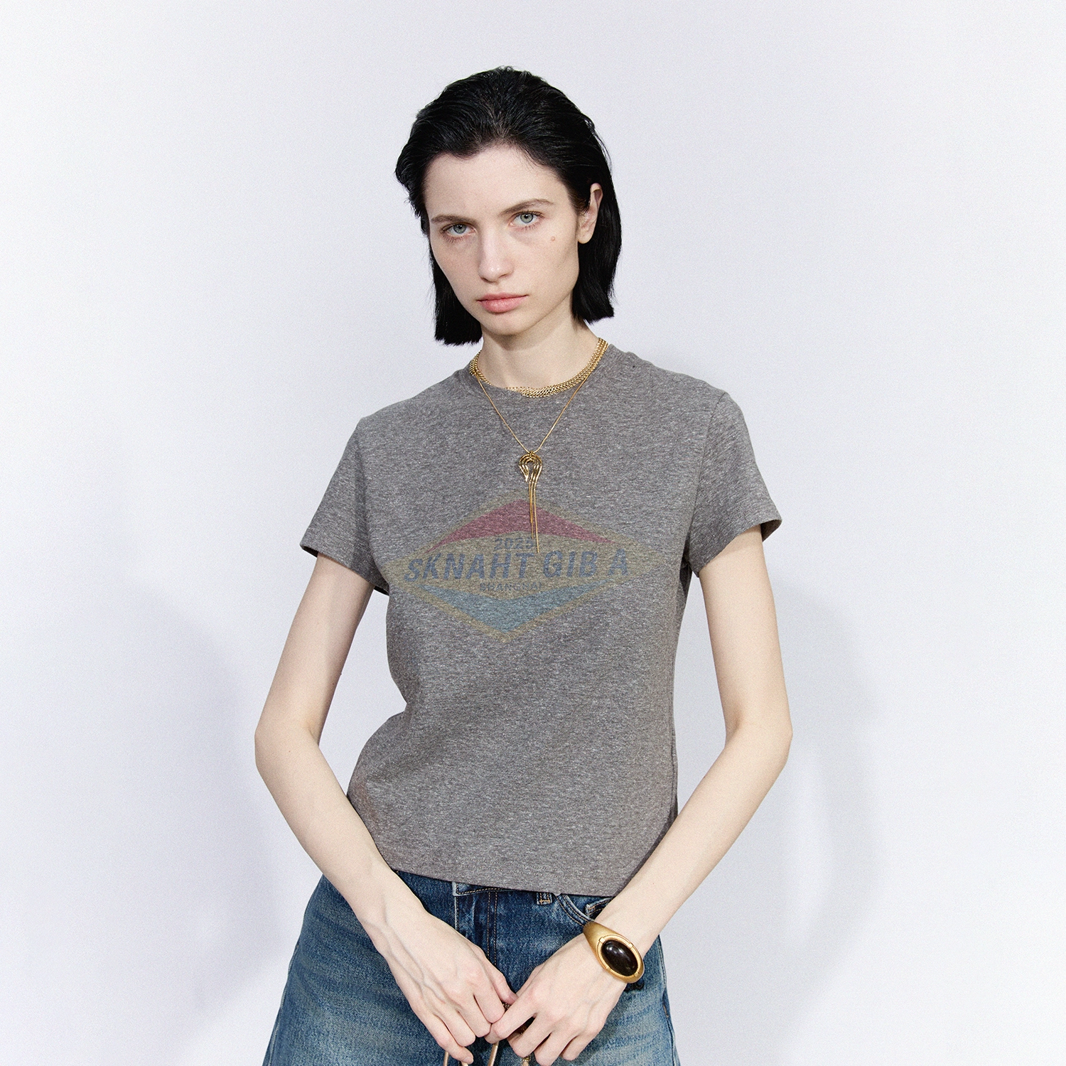 abigthanks T