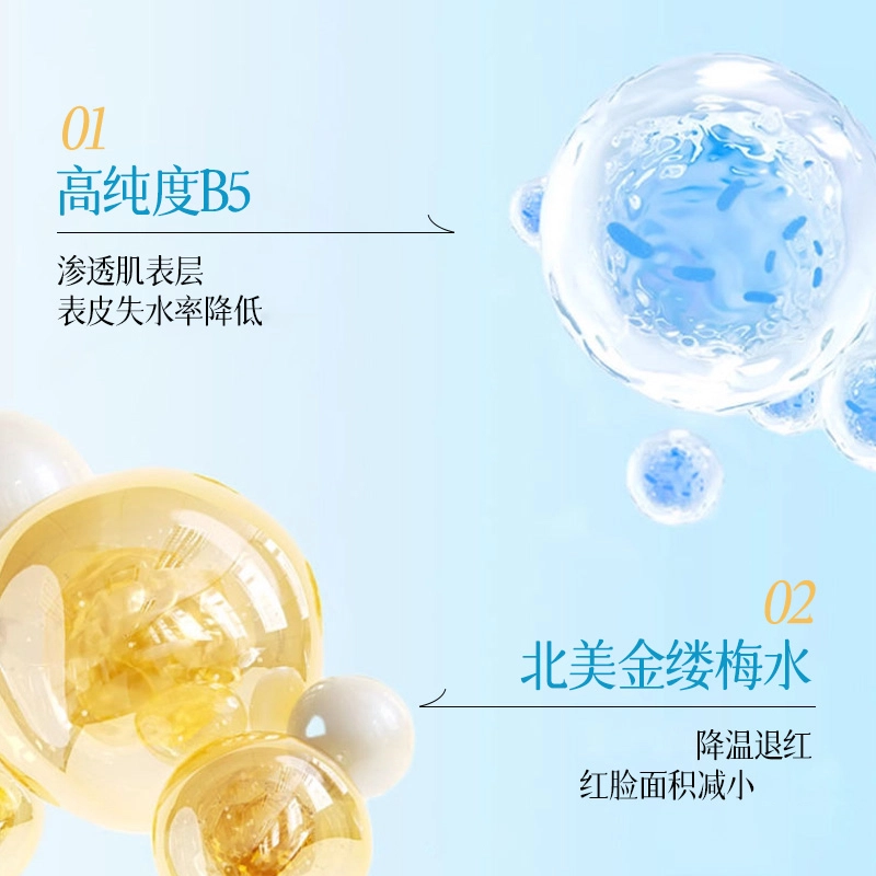 B5 400ml