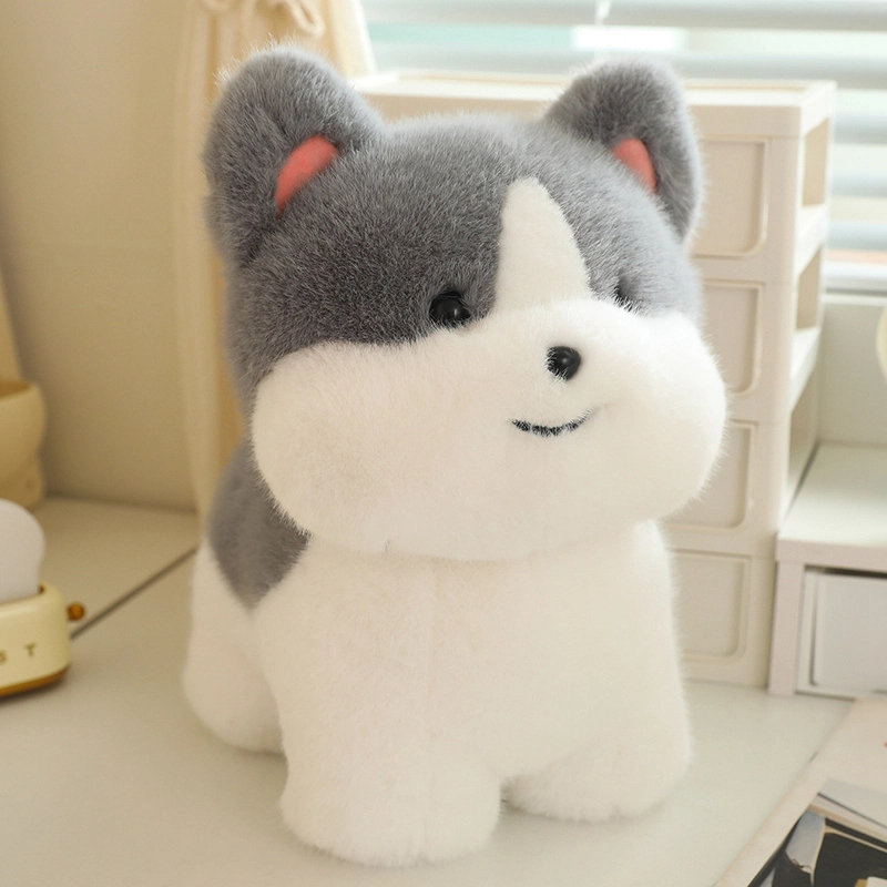 20cm30cm40cm