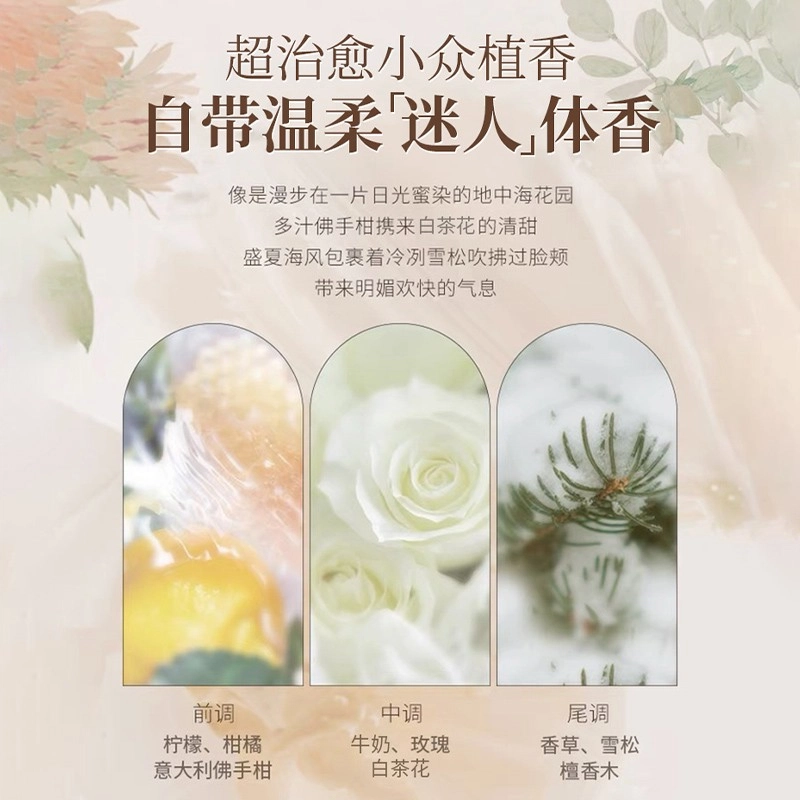fanyongchen 850ml+850ml+200g