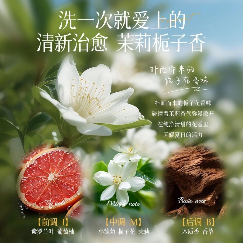 fanyongchen 600ml