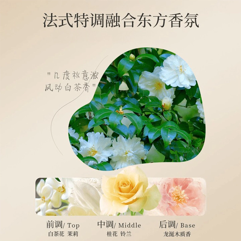fanyongchen 850ml
