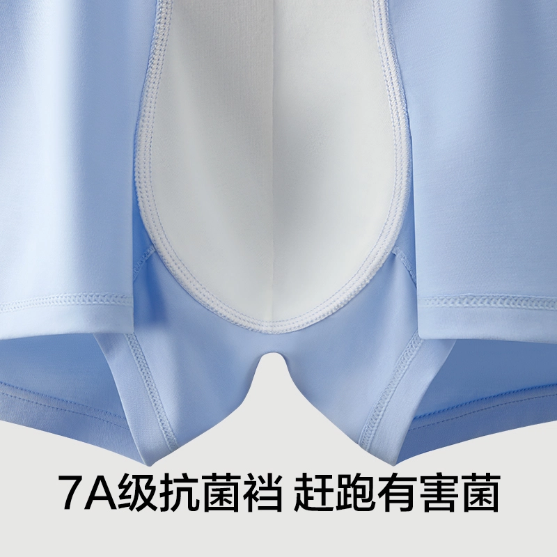 7A 2024