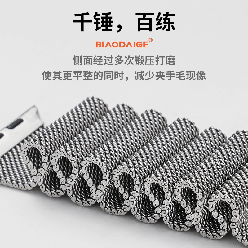 biaodaige 316L