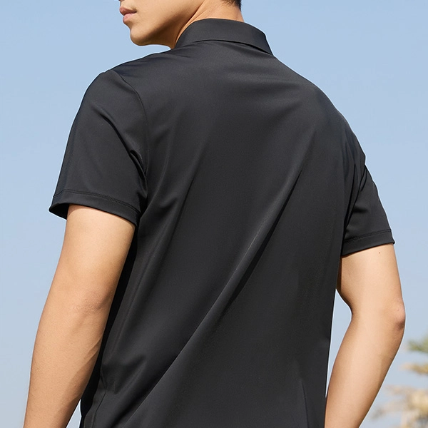 logoPolo