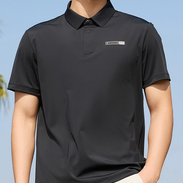logoPolo