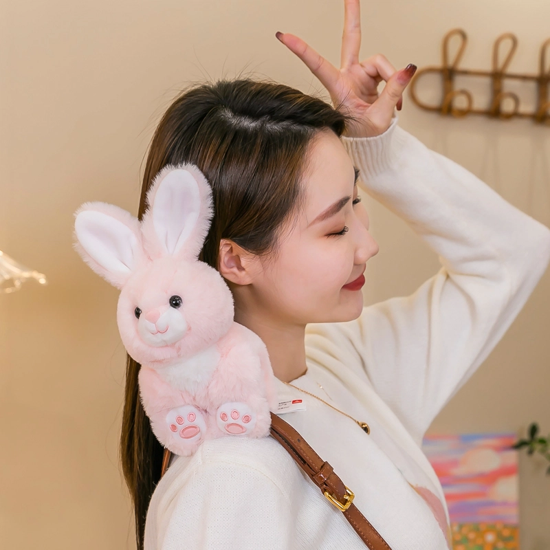 25cm