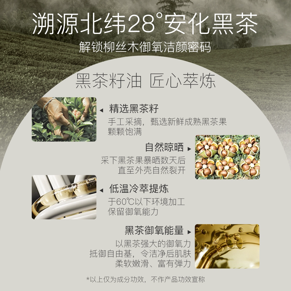 柳丝木 氨基酸配方 黑茶柔润洁面霜 保湿清洁卸妆