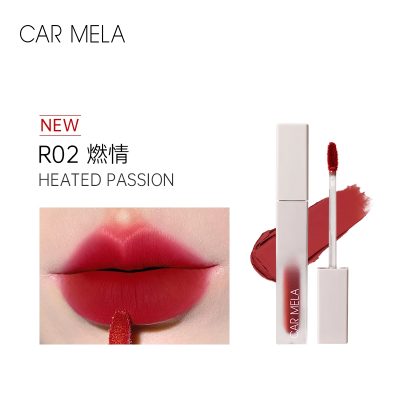 CAR MELA