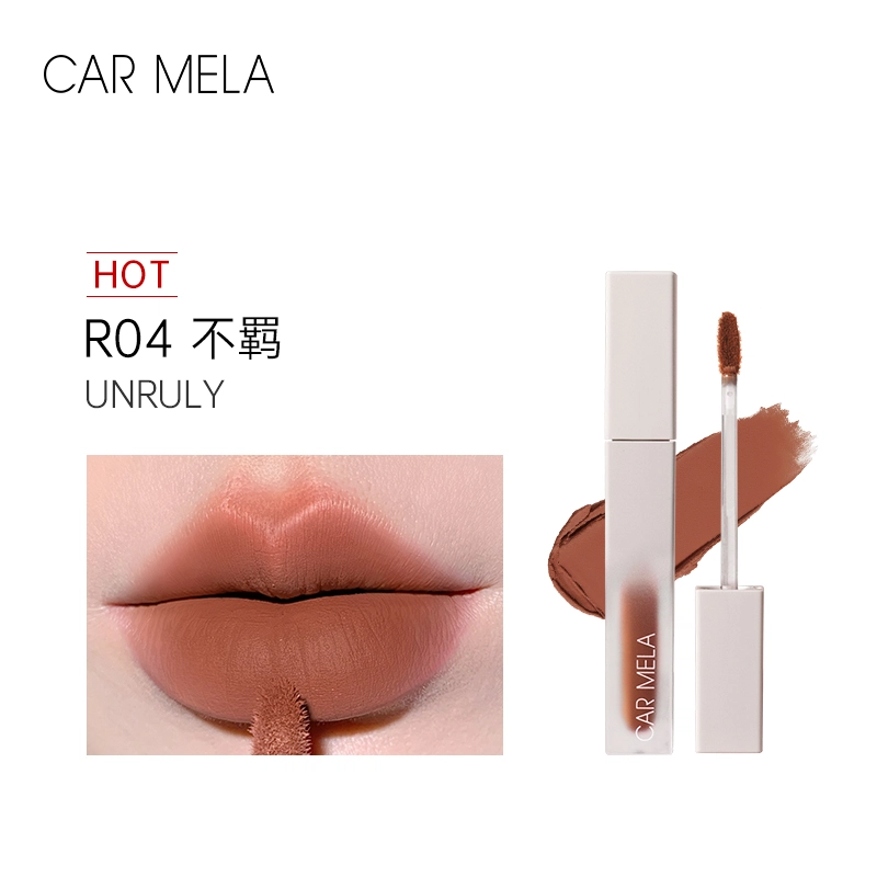 CAR MELA