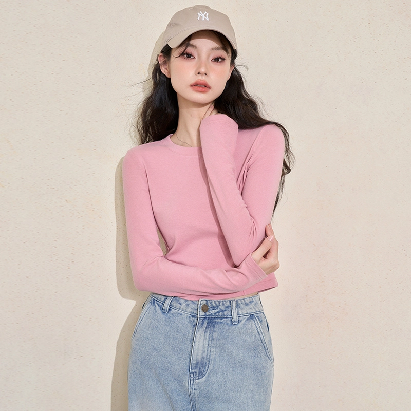 WESTLINK T