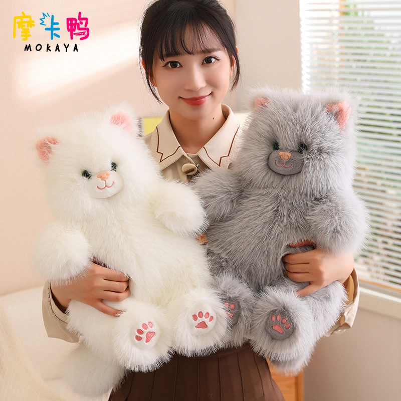 40cm50cm