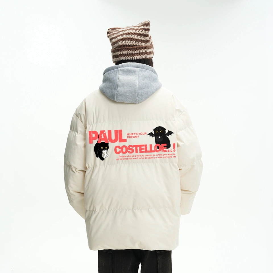 PAUL COSTELLOE logo