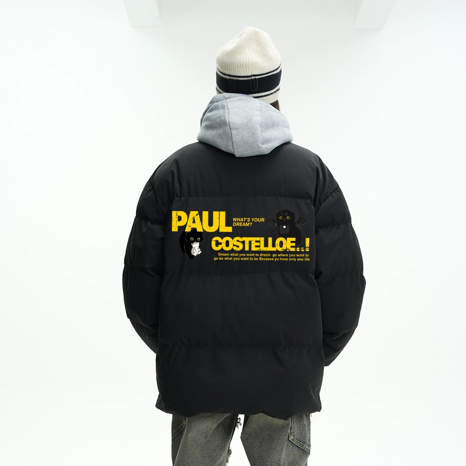 PAUL COSTELLOE logo