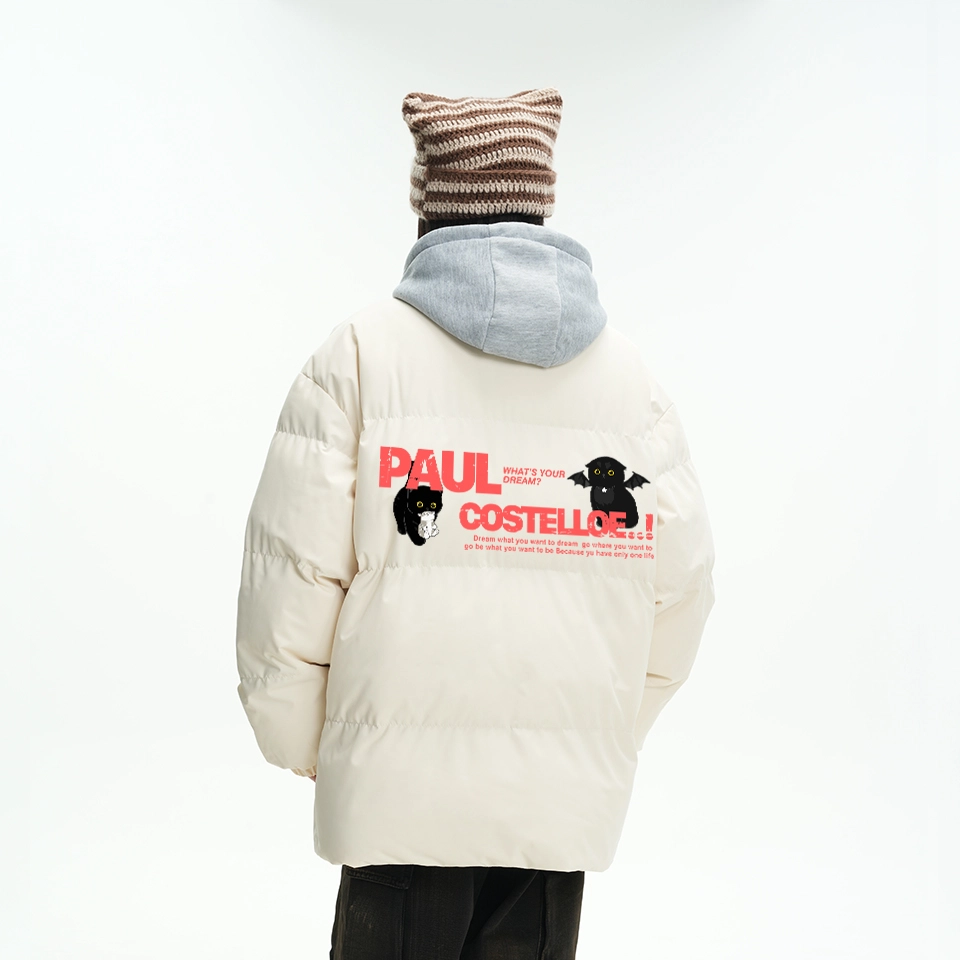PAUL COSTELLOE logo
