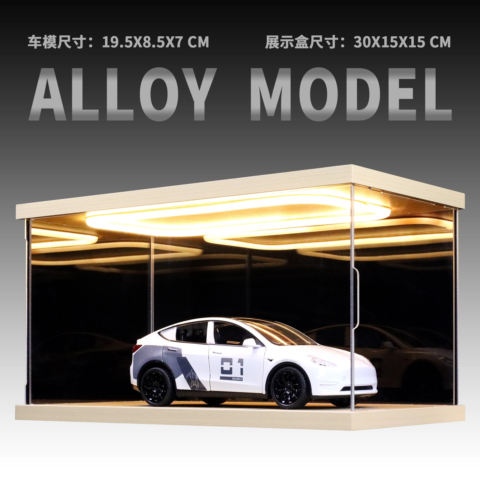 Model Y 124 SUV