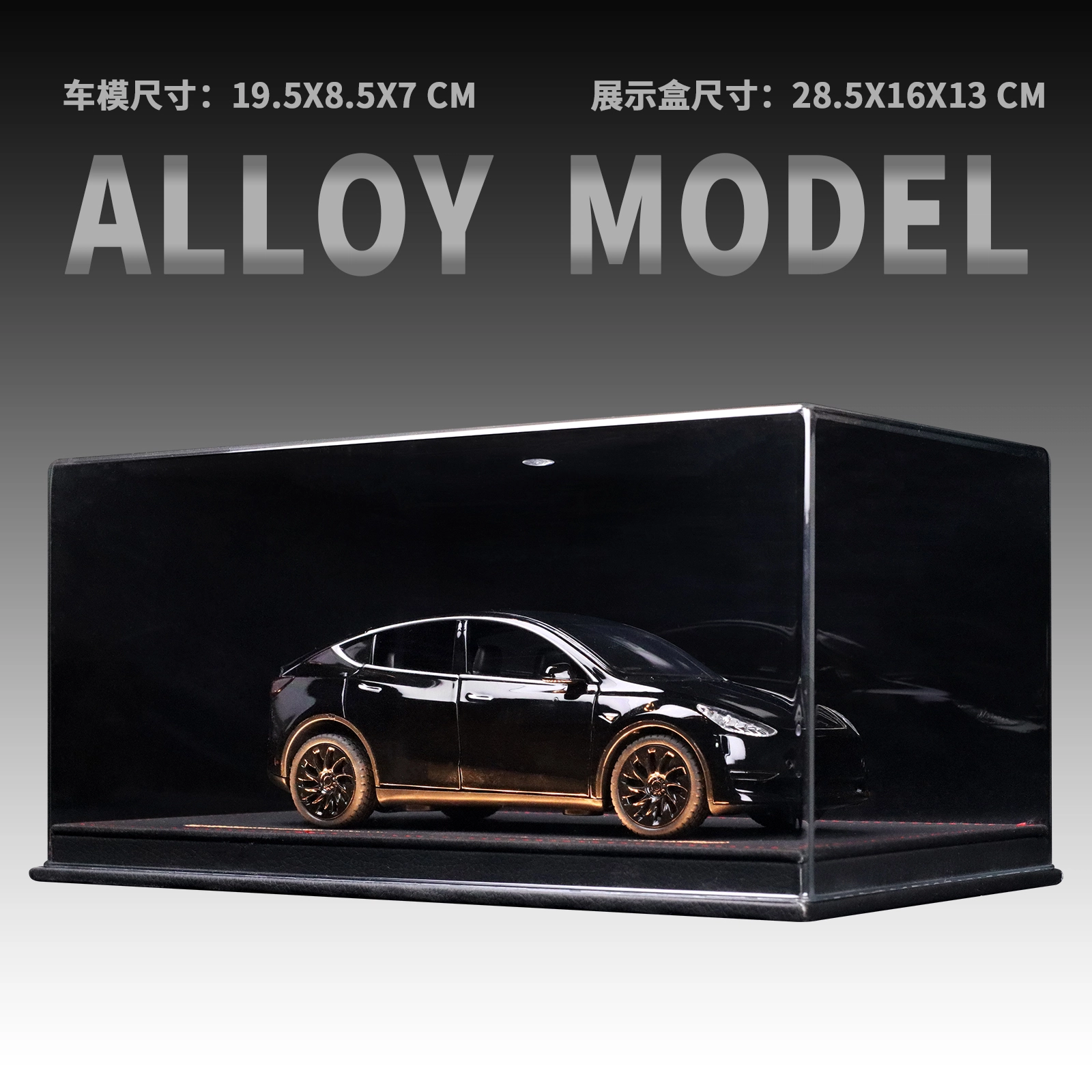 Model Y 124 SUV