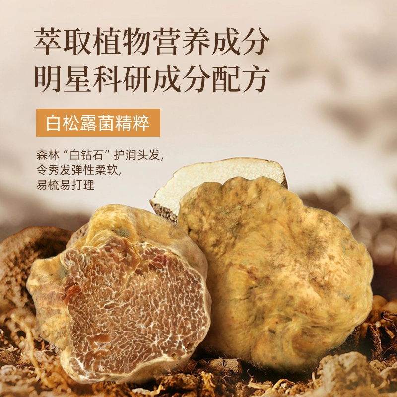 采乐 洗发水白松露精粹控油蓬松洗发露 丰盈蓬松控油清爽清爽控油