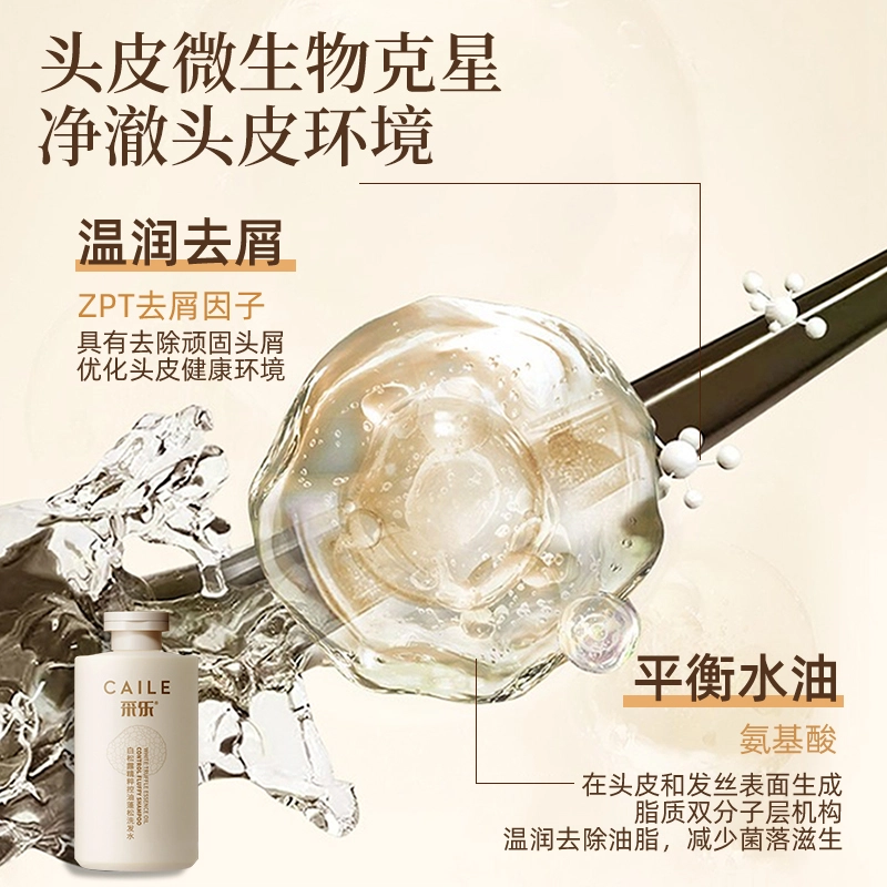 采乐 洗发水白松露精粹控油蓬松洗发露 丰盈蓬松控油清爽清爽控油