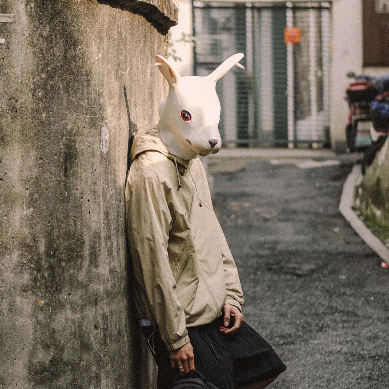 Rabbit House