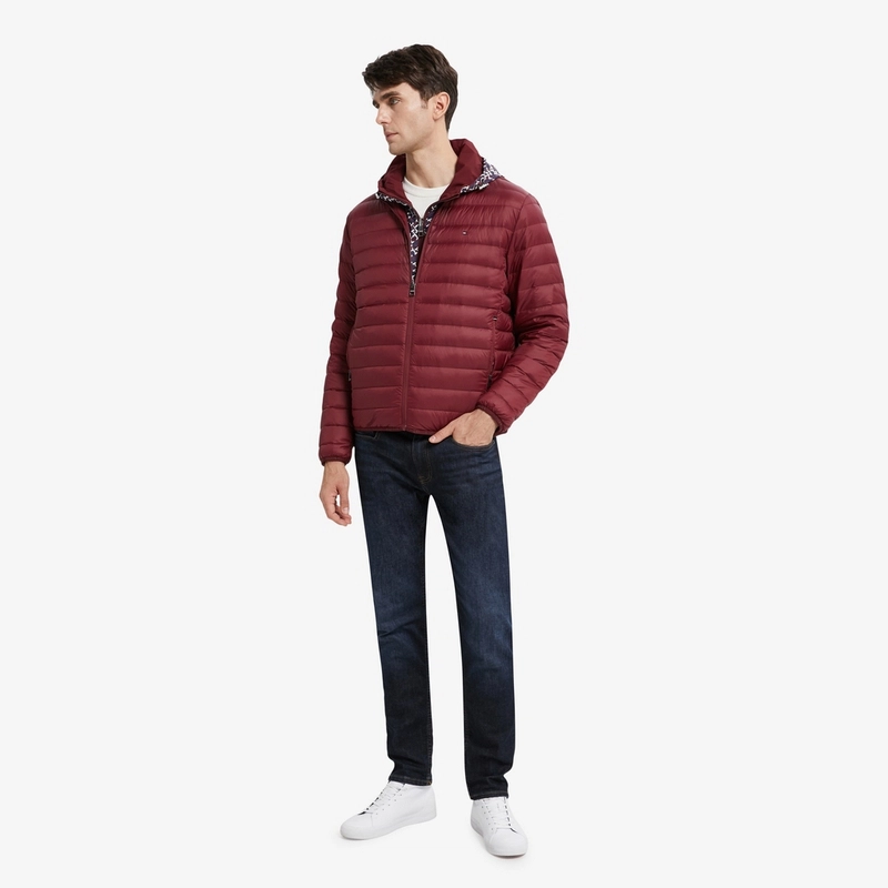 Tommy Hilfiger
