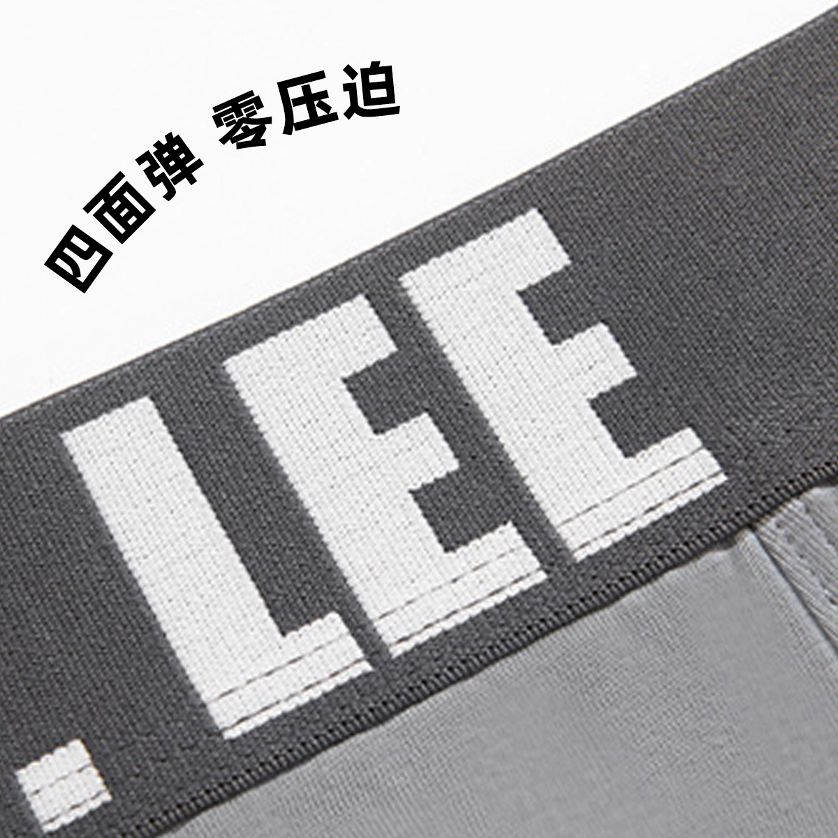 Lee 2