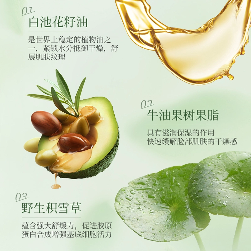泊紫汀兰 积雪草熬夜急救保湿水乳护肤套装 祛黄提亮补水舒缓修护屏障收缩毛孔