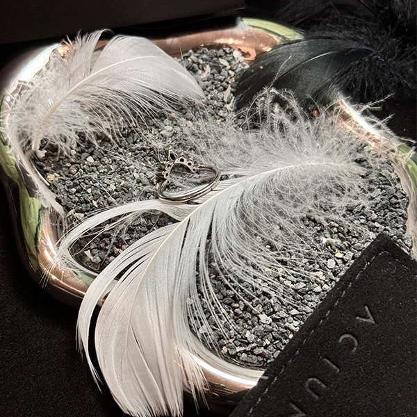 ACIUM V