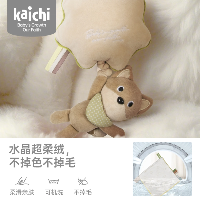 KAICHI Z999-359 01