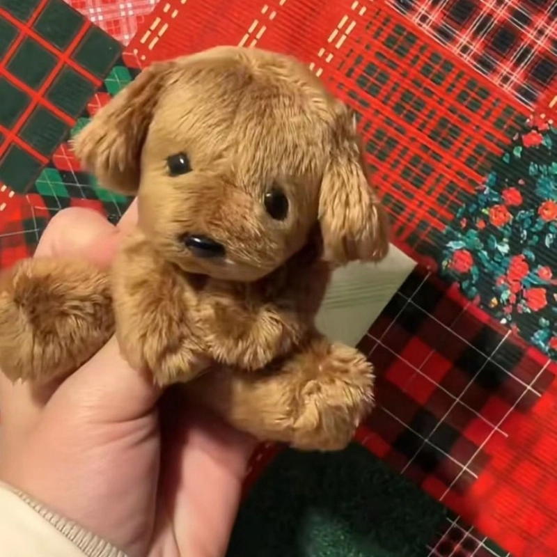 10cm