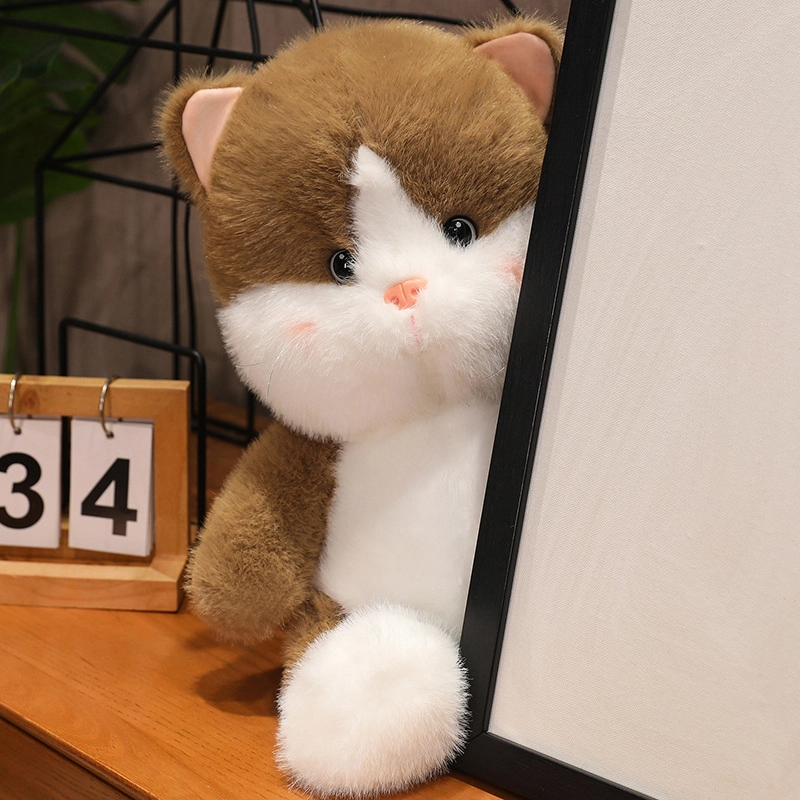 25cm35cm45cm