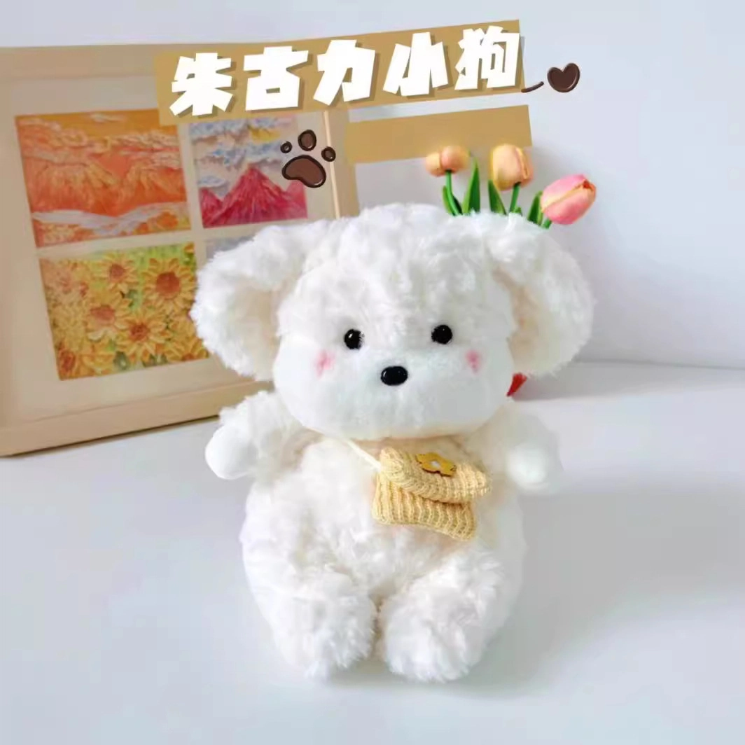 25cm