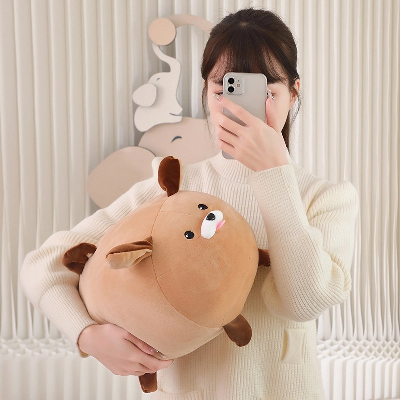 19cm22cm