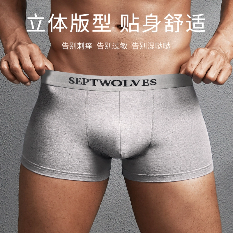 SEPTWOLVES 4