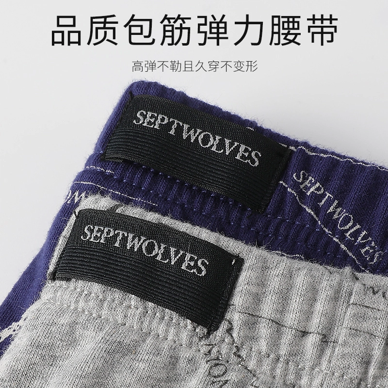 SEPTWOLVES 4100