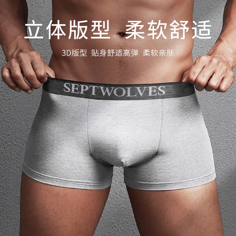 SEPTWOLVES 4