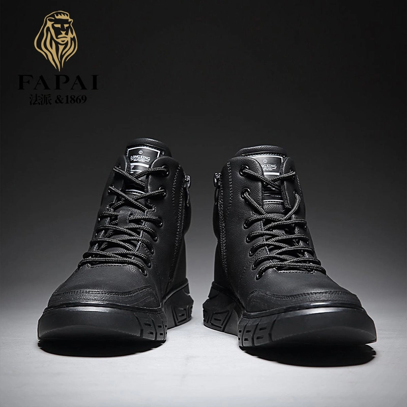 FAPAI