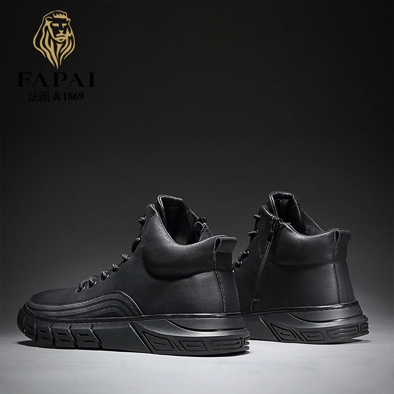 FAPAI