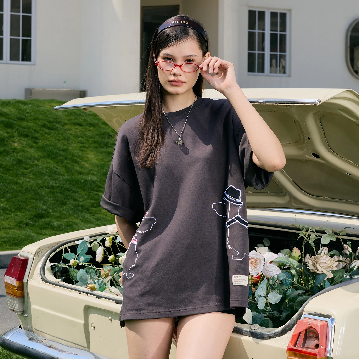 ICONS Lab T